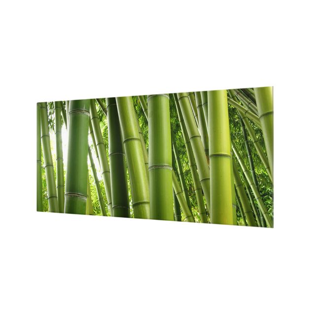 Paraschizzi in vetro - Bamboo Trees