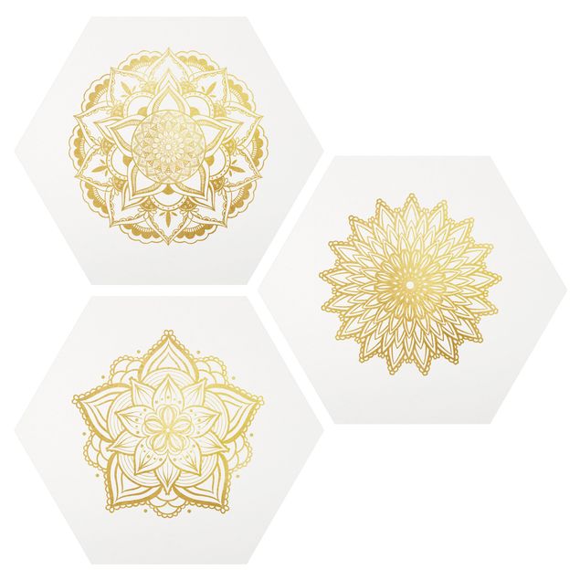 Esagono in forex - Mandala Fiore Sun illustrazione imposta gold