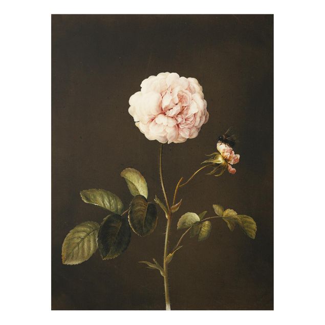 Stile di pittura Barbara Regina Dietzsch - Rosa francese con bumblbee