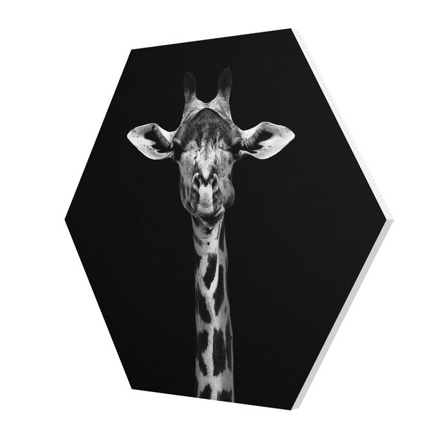 Stampe Ritratto di giraffa scura