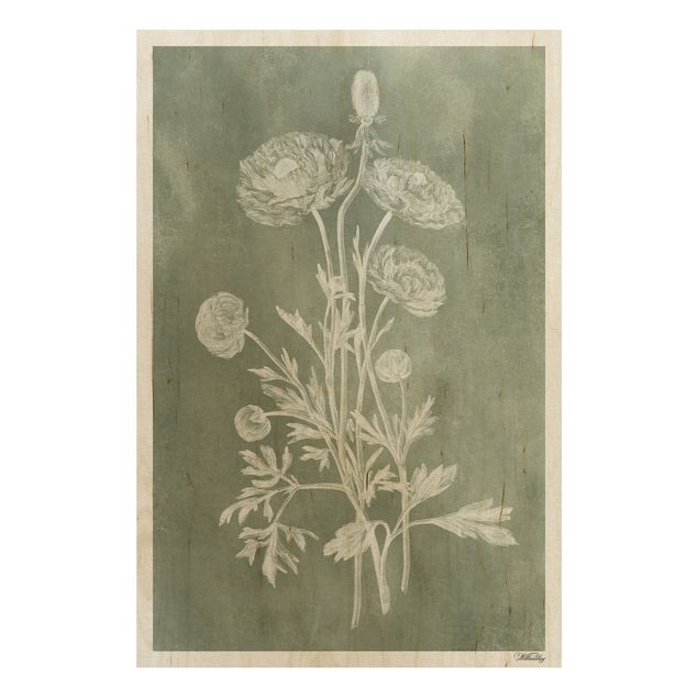 Quadri in legno con fiori Illustrazione vintage Salvia