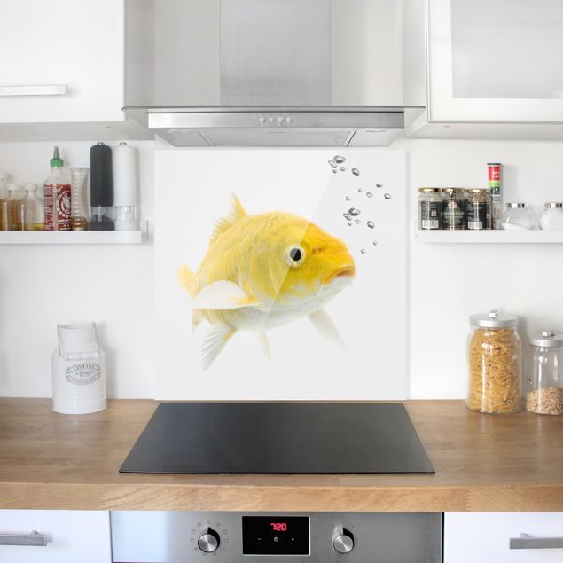 Decorazione cucina Pesce rosso giallo