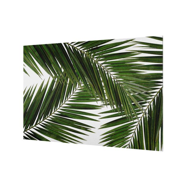 Paraspruzzi cucina Vista attraverso le foglie di palma verde