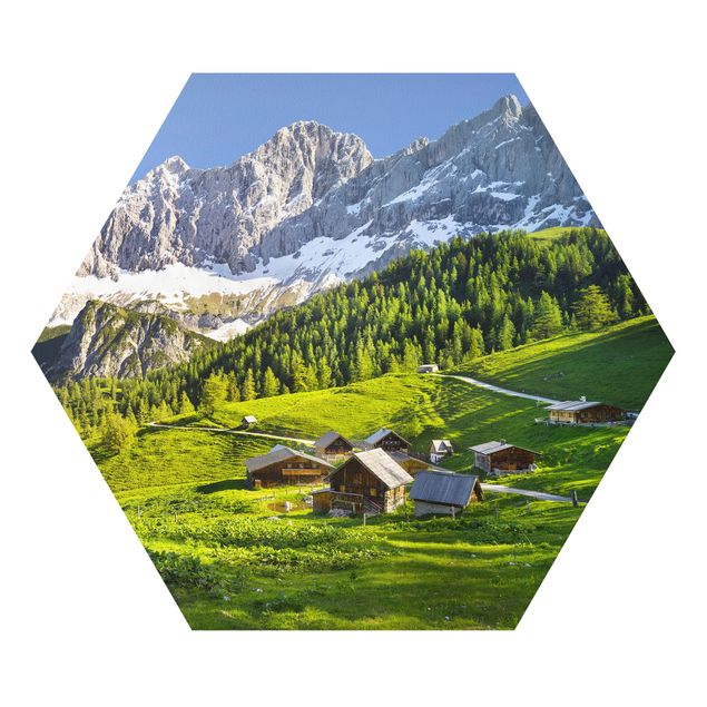 Quadro natura Prato alpino della Stiria
