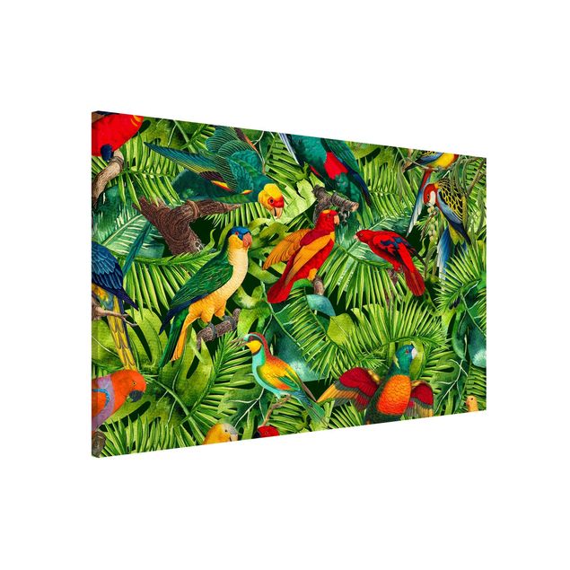 Quadri con animali della giungla Collage colorato - Pappagalli nella giungla