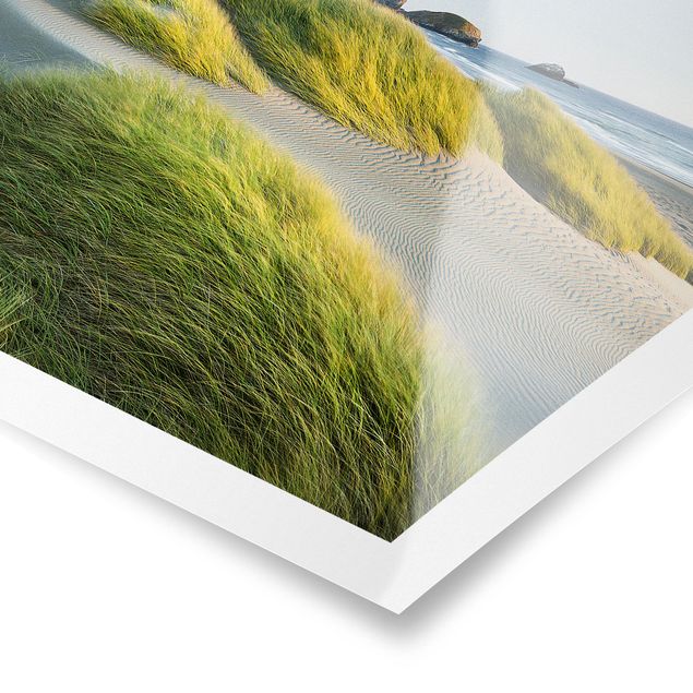 Poster con spiaggia Dune ed erbe sul mare