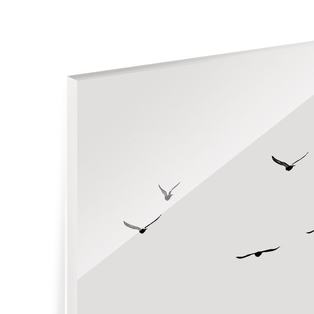Paraschizzi in vetro - Migrazione di uccelli al Sud - Quadrato 1:1