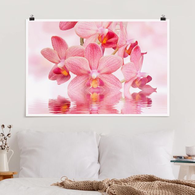 Quadri orchidee Orchidea rosa chiaro sull'acqua
