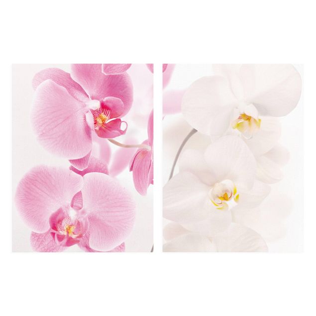 Quadri moderni   Orchidee delicate