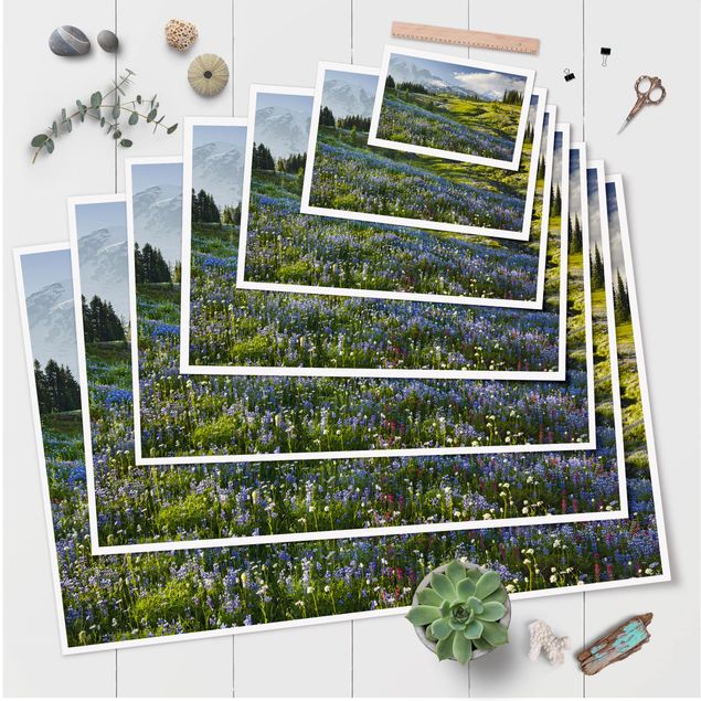 Quadri verdi Prato di montagna con fiori blu davanti al monte Rainier