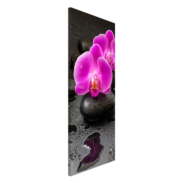 Quadri con orchidee Fiore di orchidea rosa su pietra con gocce