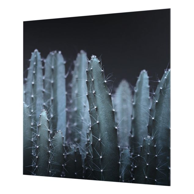 Paraschizzi in vetro - Cactus del deserto nella notte - Quadrato 1:1
