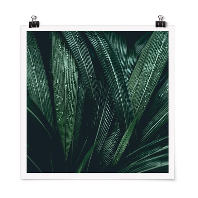 Quadro floreale Foglie di palma verde
