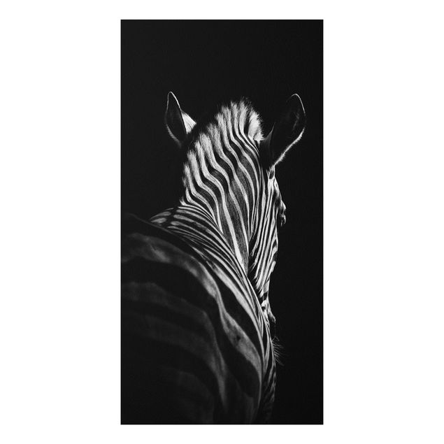 Quadri moderni   Silhouette Zebra scuro