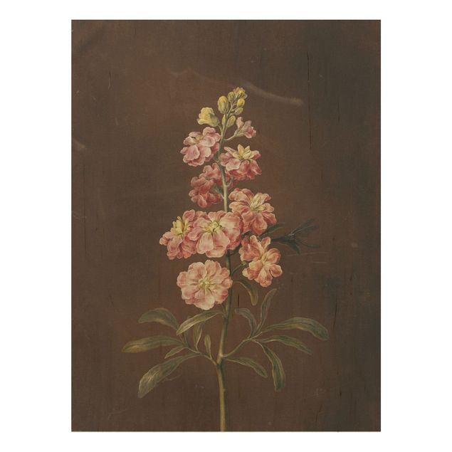 Stile di pittura Barbara Regina Dietzsch - Una gigliofiore rosa chiaro