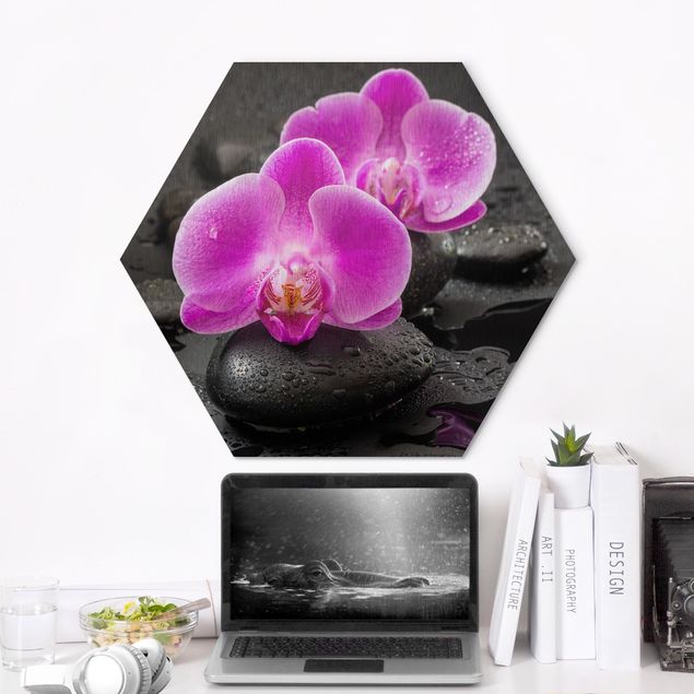 Quadri orchidee Fiore di orchidea rosa su pietra con gocce