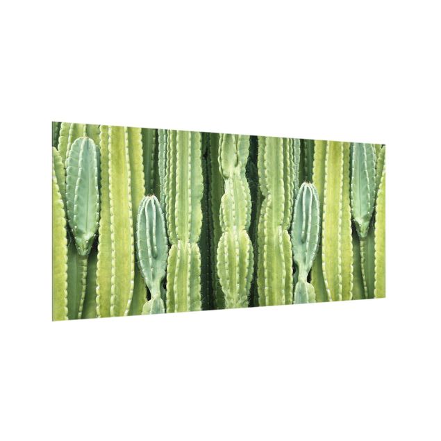 Paraschizzi cucina Muro di cactus