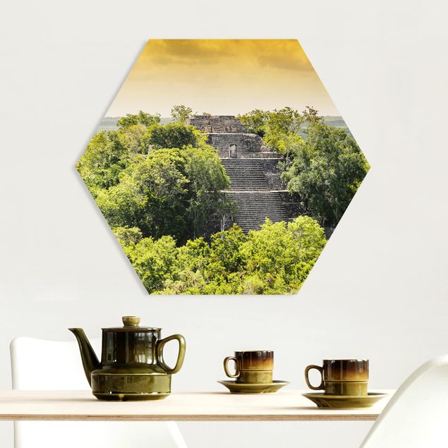 Quadro alberi Piramide di Calakmul