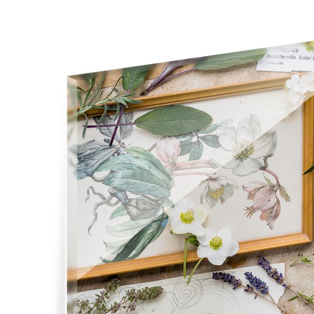 Paraschizzi in vetro - Flowers And Garden Herbs Vintage