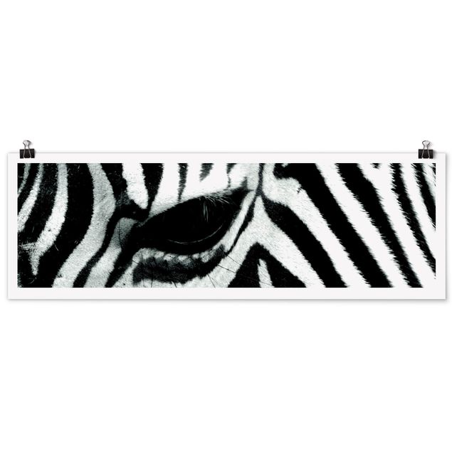 Quadri bianco e nero zebra