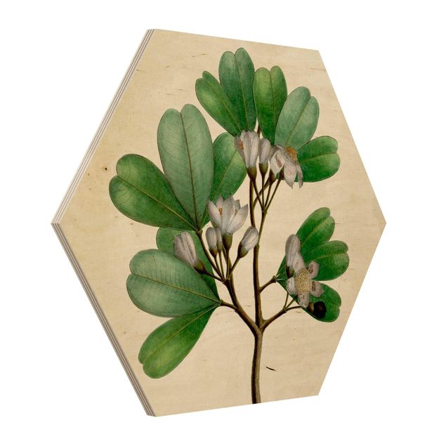 Quadri su legno Poster con piante caducifoglie III