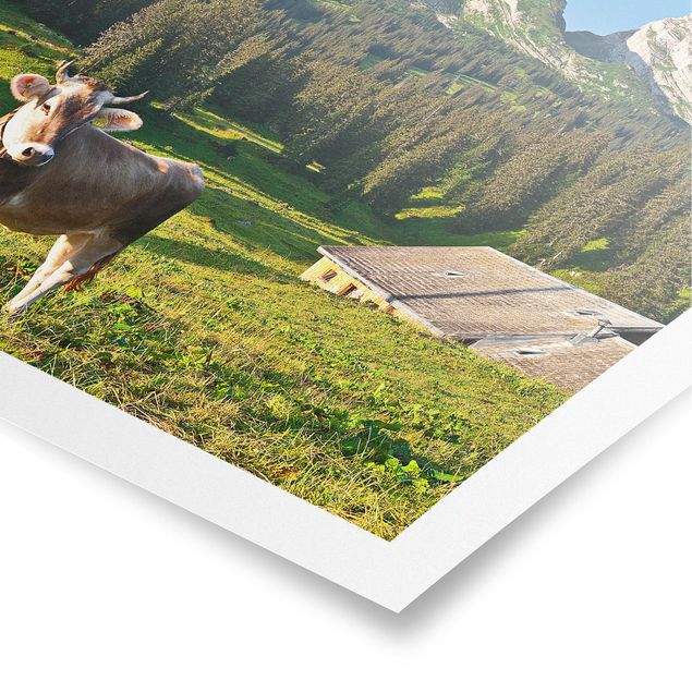 Quadri Svizzera Prato alpino svizzero con mucca