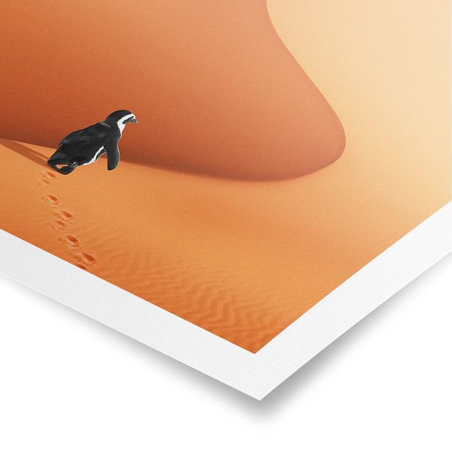 Quadri arancioni Deserto con pinguino