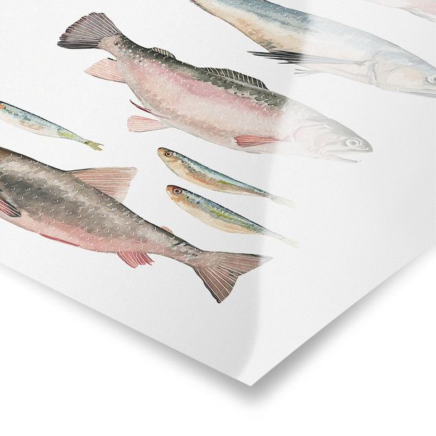 Quadri stampe Sette pesci in acquerello I