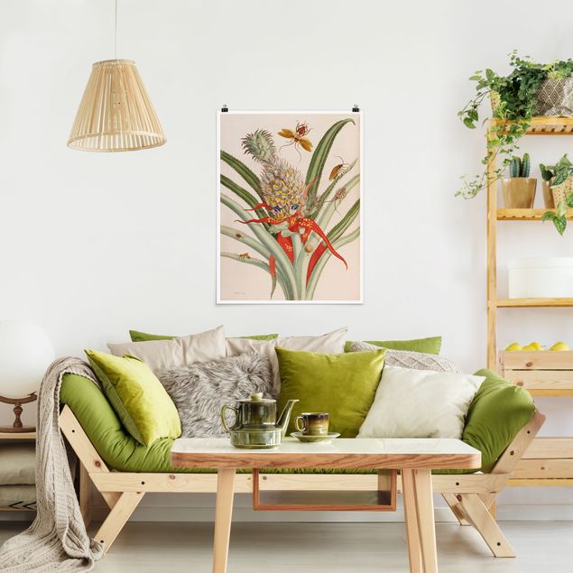 Stile di pittura Anna Maria Sibylla Merian - Ananas con insetti