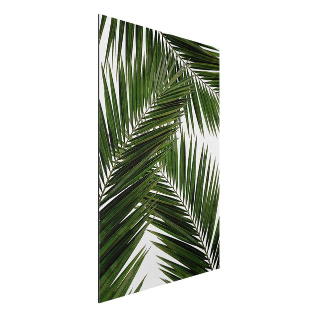 Quadro paesaggio Vista attraverso le foglie di palma verde