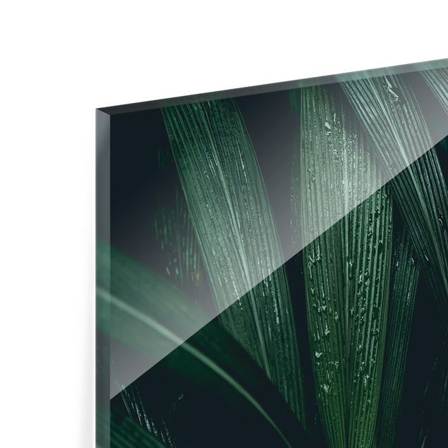 Paraschizzi in vetro - Green Palm Leaves