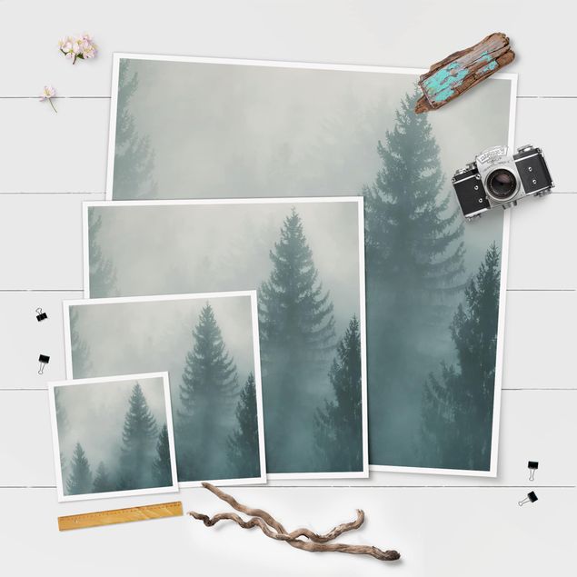 Stampe poster Foresta di conifere nella nebbia
