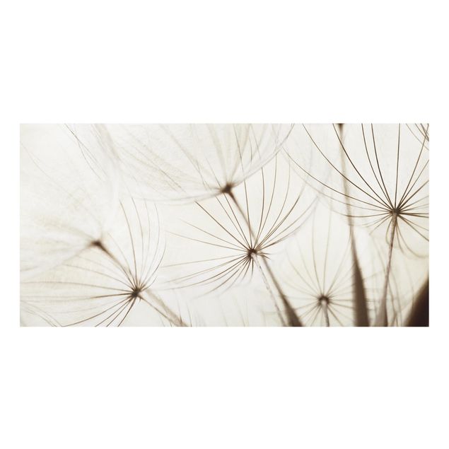 Paraschizzi in vetro - Gentle Grasses