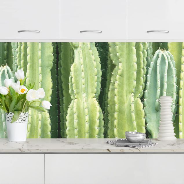 Rivestimenti per cucina con fiori Muro di cactus