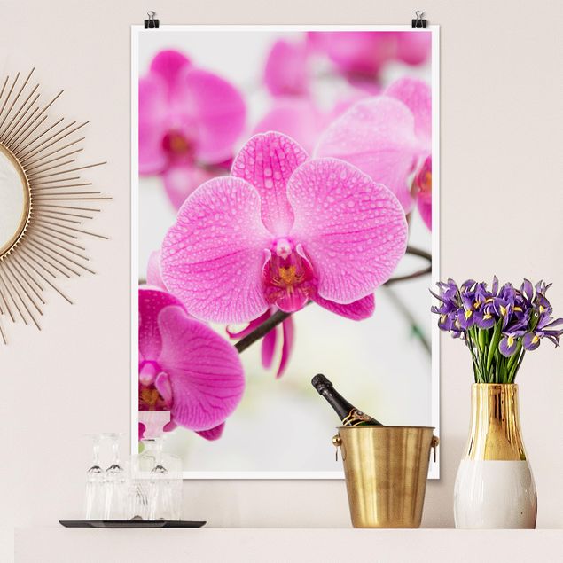 Quadri con orchidee Orchidea ravvicinata