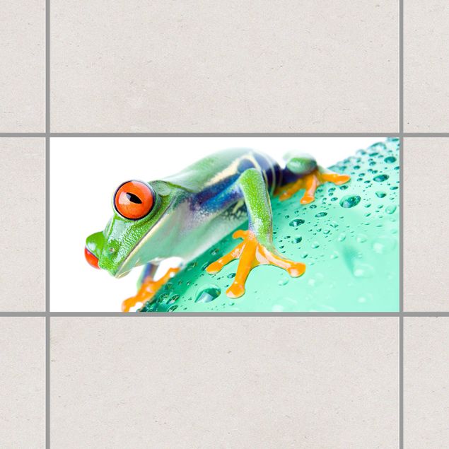 Adesivi per piastrelle con animali Frog