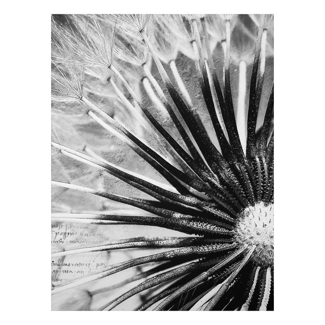 Quadri con fiori Soffione in bianco e nero