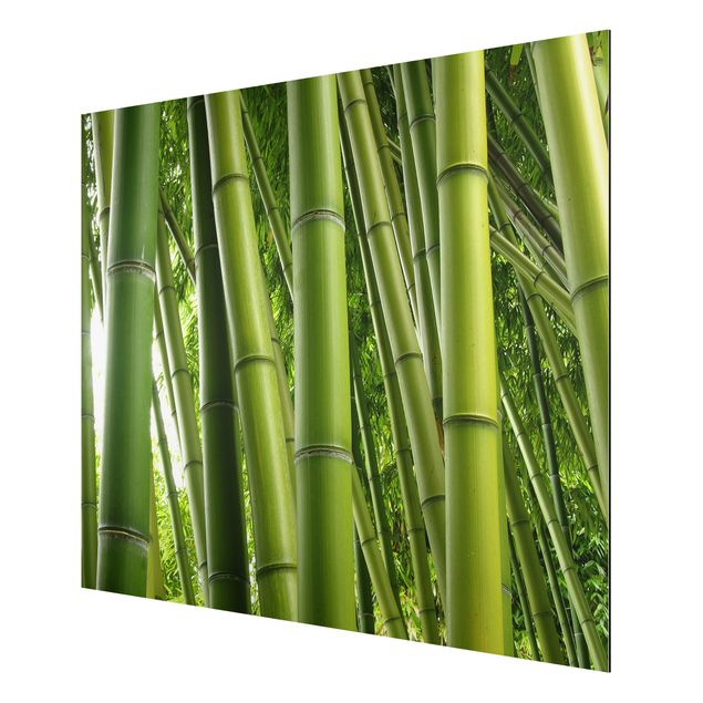 Quadri bamboo Alberi di bambù n.1
