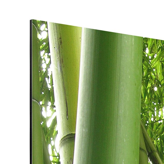 Quadro natura Alberi di bambù n.1
