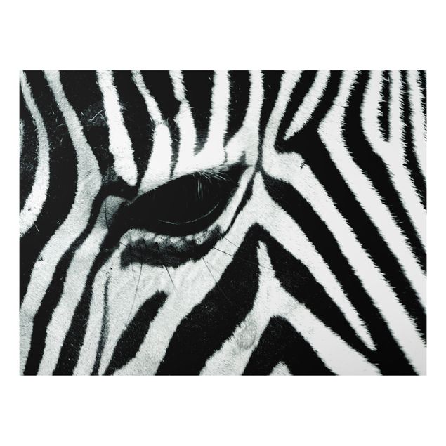 Quadri zebra Attraversamento di zebre n. 2