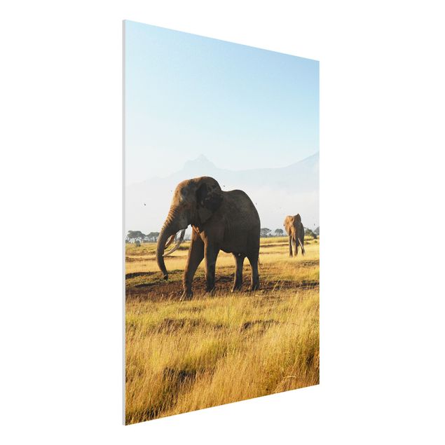 Quadro Africa Elefanti di fronte al Kilimangiaro in Kenya