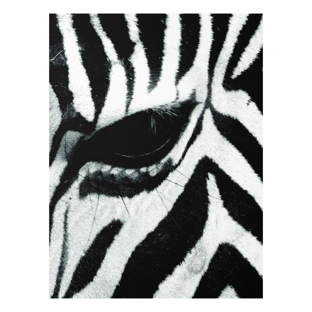 Quadri con zebre Attraversamento di zebre n. 2