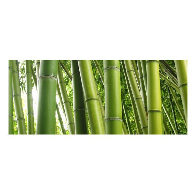 Quadri con alberi Alberi di bambù n.1