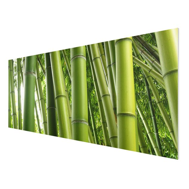 Quadri con bambù Alberi di bambù n.1