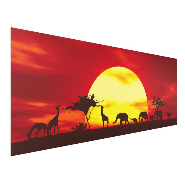 Quadri Africa Sunset Caravan