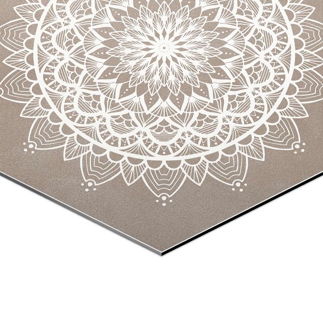 Esagono in Alluminio Dibond - Mandala Illustrazione Shabby Set Beige Bianco
