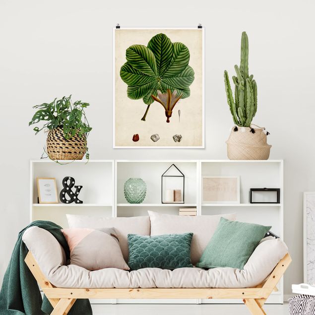 Poster retro style Poster con piante caducifoglie II