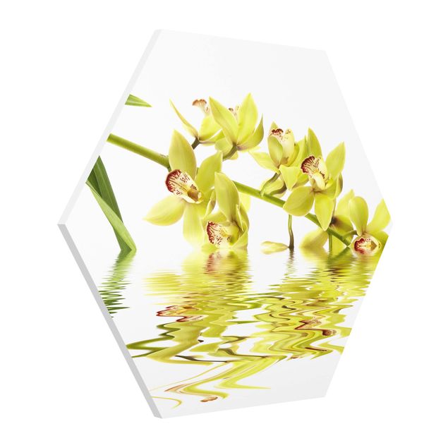 Quadri floreali Eleganti acque di orchidea