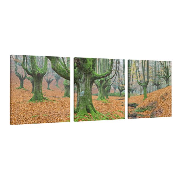 Quadro su tela componibile Foresta di faggi nel parco naturale di Gorbea in Spagna