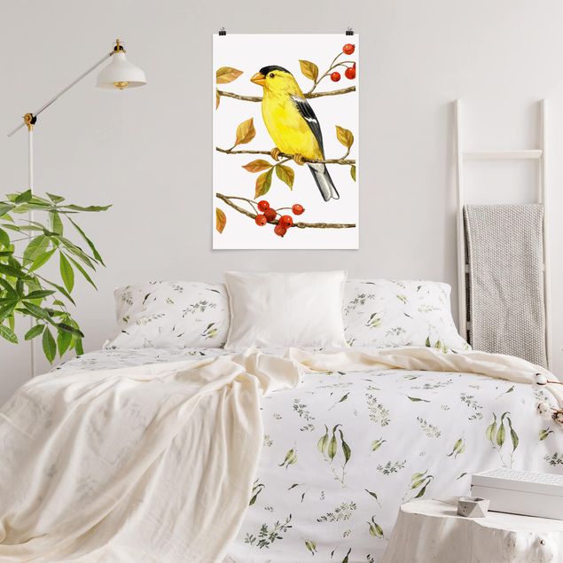 Poster retro Uccelli e bacche - Cardellino americano